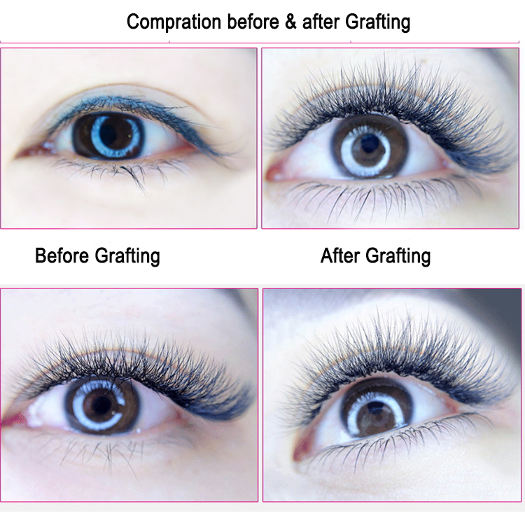Comparation-before-and-after-grafting-the eyelash-extensions.jpg